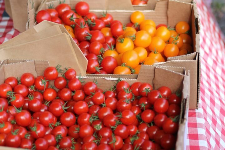 boxes of tomatoes