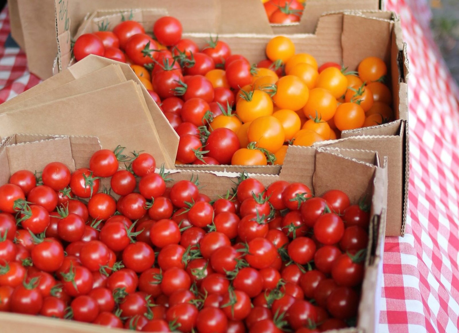 boxes of tomatoes